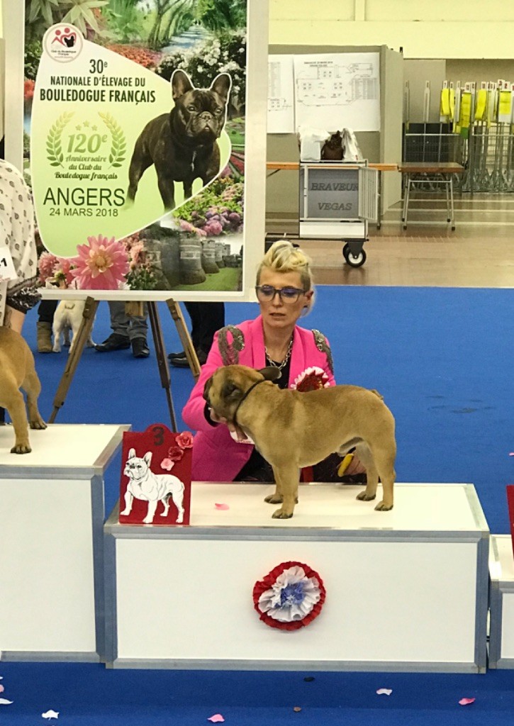 in the Purple Moon - Nationale Élevage Angers 2018 podium pour Killer 