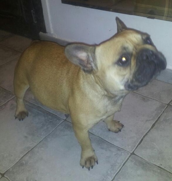 Eve in the Purple Moon