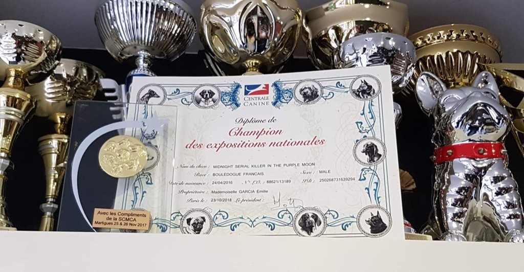 in the Purple Moon - Diplôme de Champion National KILLER
